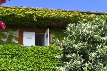 Residence Capobianco, Elba