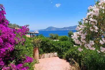 Residence Capo Bianco, Elba