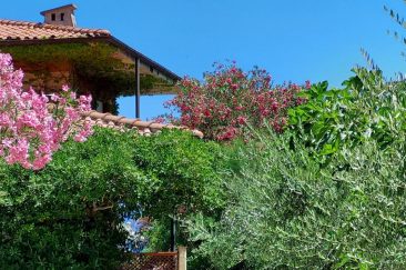 Residence Capo Bianco, Elba