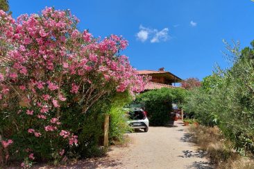 Residence Capo Bianco, Elba