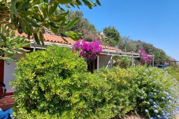 Residence Capo Bianco, Elba